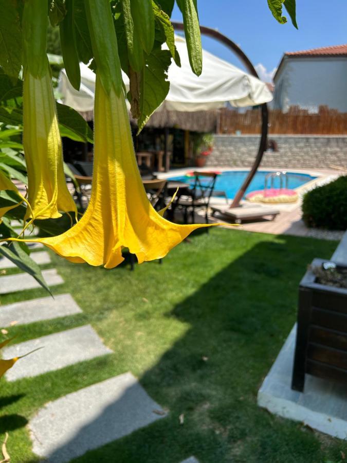 Pupa Alacati Butik Otel เซสเม ภายนอก รูปภาพ