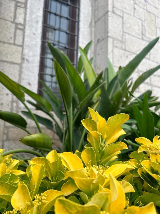 Pupa Alacati Butik Otel เซสเม ภายนอก รูปภาพ