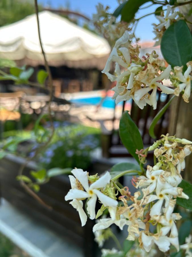 Pupa Alacati Butik Otel เซสเม ภายนอก รูปภาพ